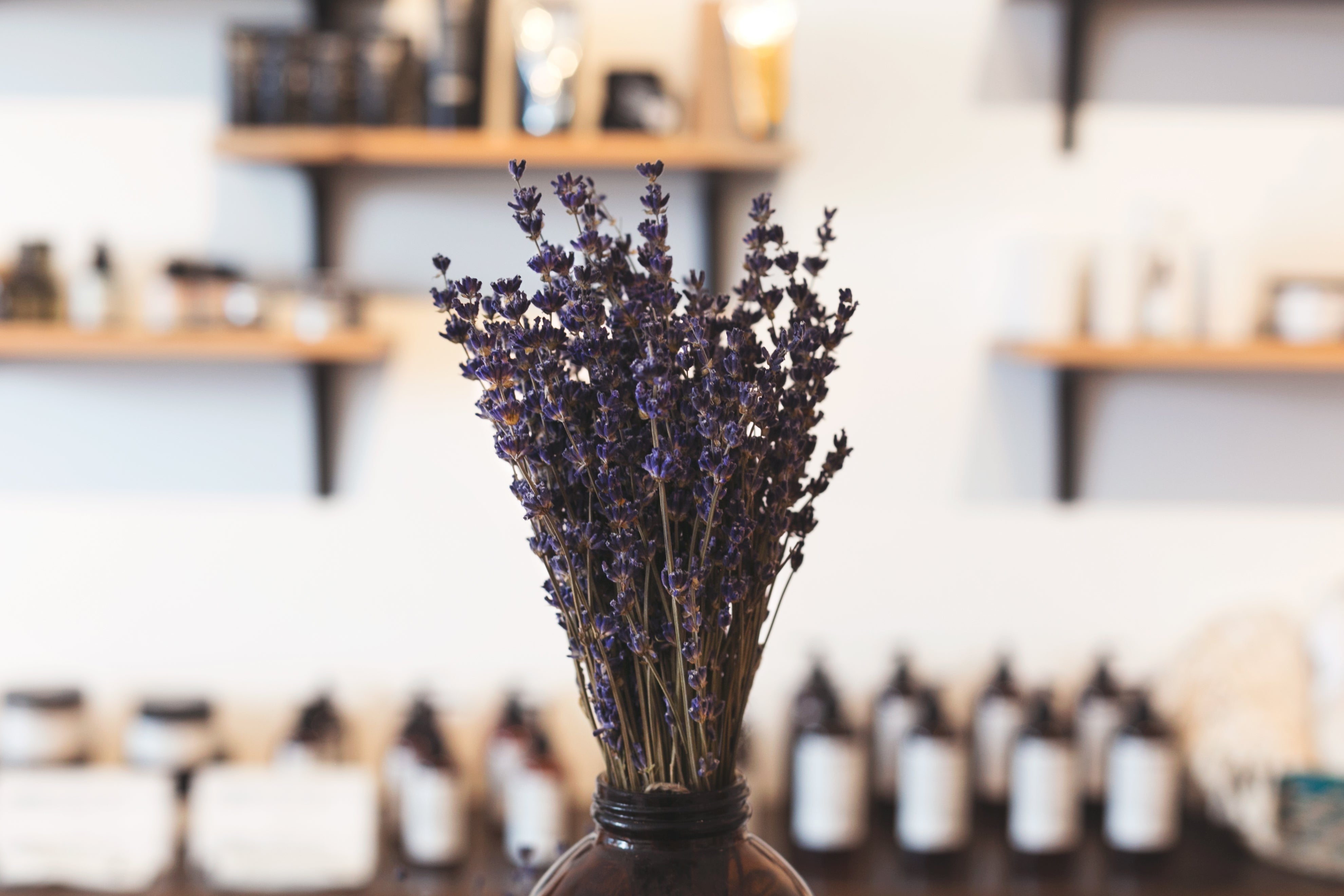 lavender-in-shop.jpg