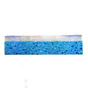 Siivoussieni Buenos Aires (9,4 x 9,4 cm) CC1
