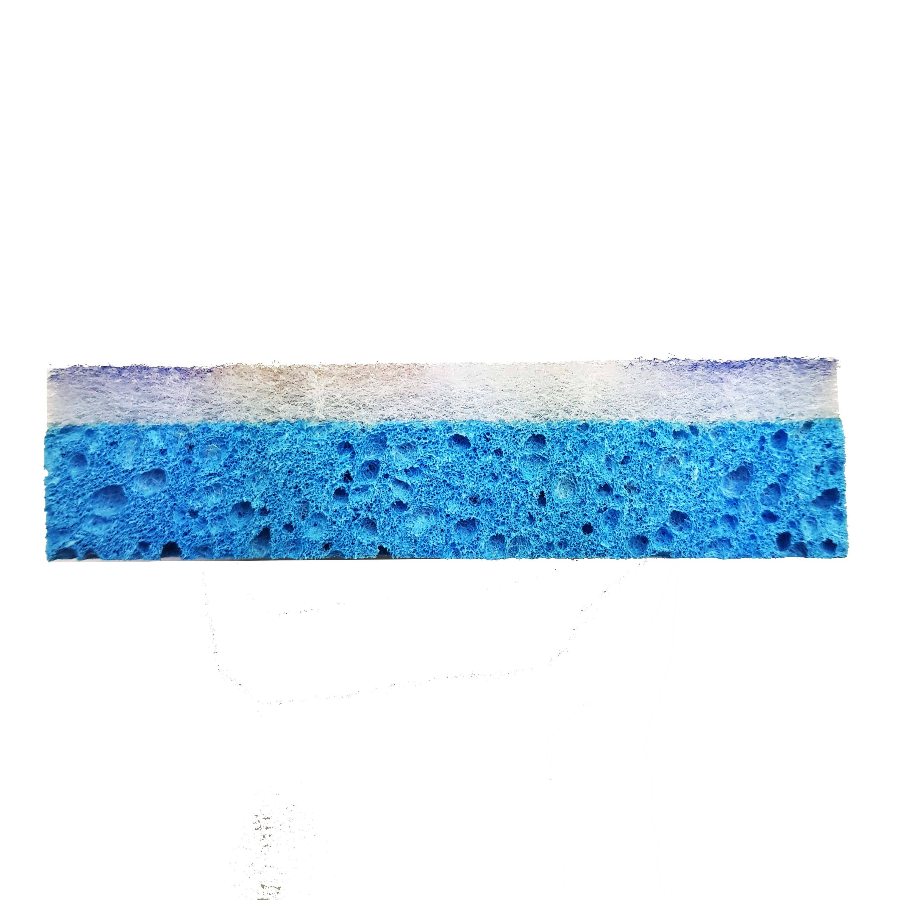 Siivoussieni Buenos Aires (9,4 x 9,4 cm) CC1